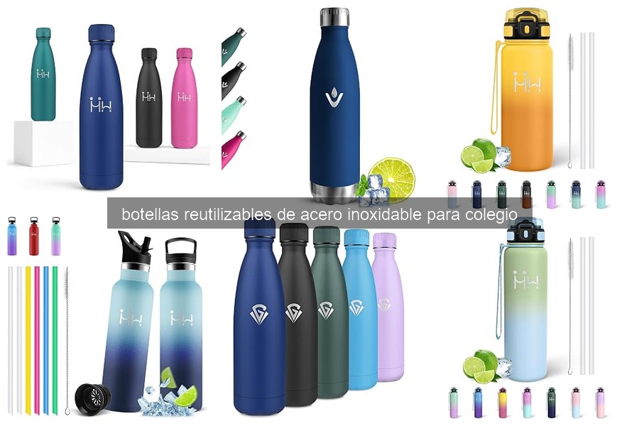 Comparativa de Botellas Reutilizables de Acero Inoxidable para Estudiantes