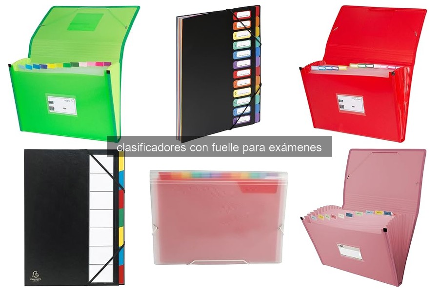 Guía para elegir el mejor clasificador con fuelle para estudio